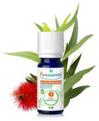 Óleo essencial de Eucalyptus Radiata 10 ml