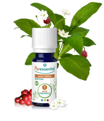 Óleo Essencial Wintergreen 10 ml