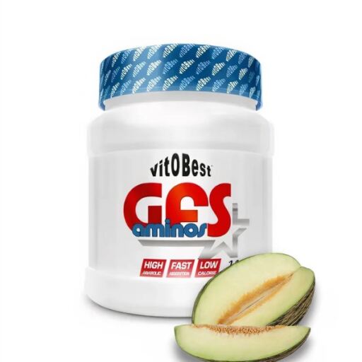 Gfs Aminos em pó 500 gr