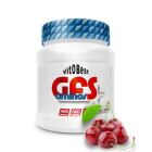 Gfs Aminos em pó 500 gr