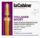 Colágeno Boost Ampolas 10 x 2ml