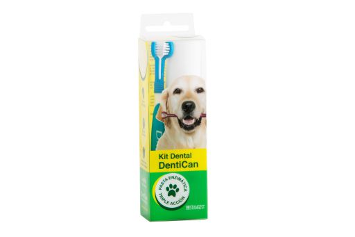 Kit Dental Pincel + Pasta 100 gr