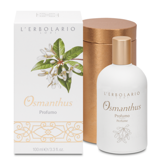 Osmanthus Gold Box Perfume Edição Limitada 100 ml