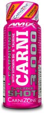 Fat Burner L Carnitine Carnishes 3000 1x60 ml