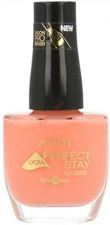 Gel Esmalte Perfeito Nail Polish Shine