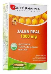 Geléia Real 1000 gr 20 ampolas x 10 ml