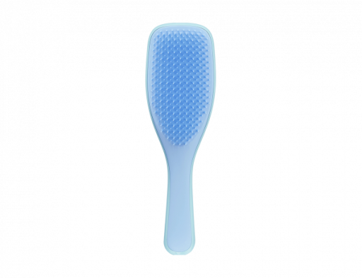 Escova Wet Detangler Wet Blue