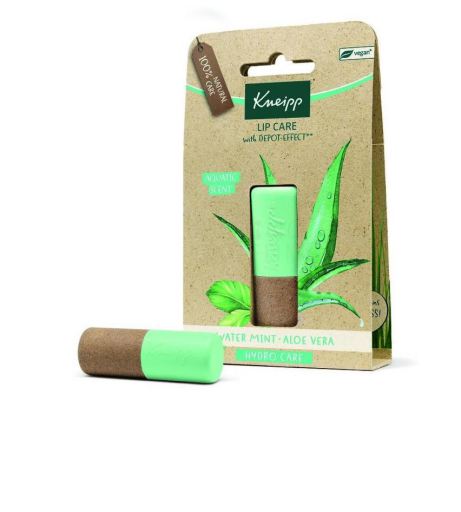 Lip Care Menta com Aloe Vera Lip Balm