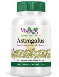 Astragalus Std Root 120 Cápsulas Vegetais