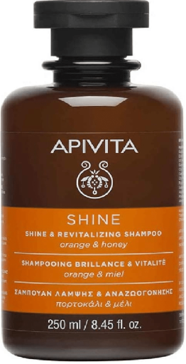 Shine Shampoo Brilho e Vitalidade 250 ml