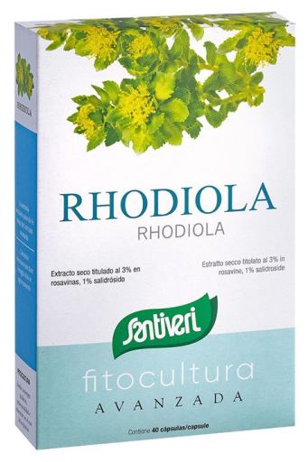 Rhodiola 40 Cápsulas