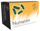 Numantina