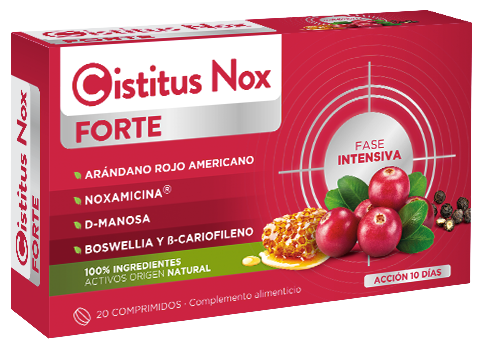 Nox Forte Probióticos 10 Envelopes