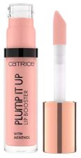 Plump It Up Intensificador Labial 3,5 ml