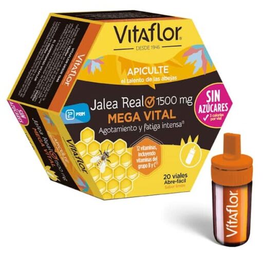 Mega Vital Geléia Real 20 Frascos