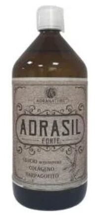 Adrasil Forte Silício Colágeno Harpago 1 L