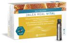 Jelly Balance Vital Geleia Real 20 Frascos