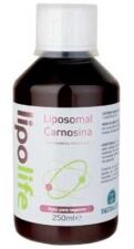 Lipolife Carnosina Lipossomal 250 ml