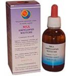 Msa Ampelopsis Weitchii Brotos Jovens 50 ml