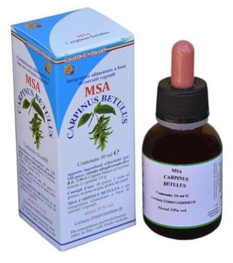 Msa Carpinus Betulus Botões 50 ml