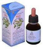 Msa Rubus Idaeus Brotos Jovens 50 ml