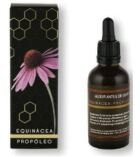 Extrato de Equinácea-Própolis 50 ml