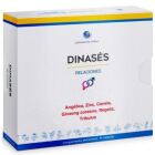 Dinases 15 Cápsulas