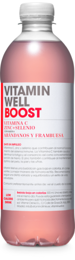 Bebida vitaminada Blueberry Boost 500 ml