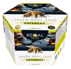 Regal Bee Defenses Geléia Real 2000 20 Frascos