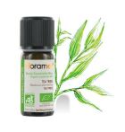 Óleo Essencial de Tea Tree 10 ml Bio