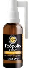 Spray de Própolis 20 ml